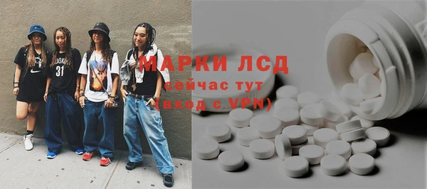соль ск Богданович