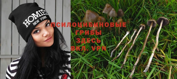 таблы Богородск