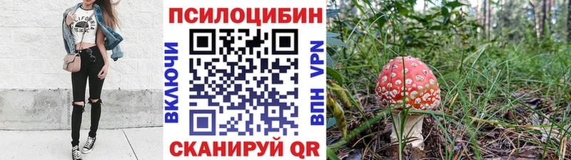 МЕГА tor  Онега  Галлюциногенные грибы прущие грибы  продажа наркотиков 